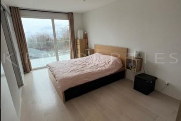 Spacieux 4½ pièces avec grande terrasse et vue dégagée – Champlan