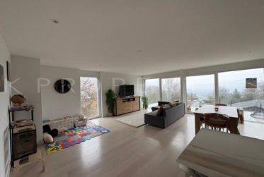 Spacieux 4½ pièces avec grande terrasse et vue dégagée – Champlan